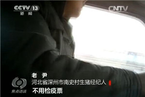 圖為焦點訪談截圖