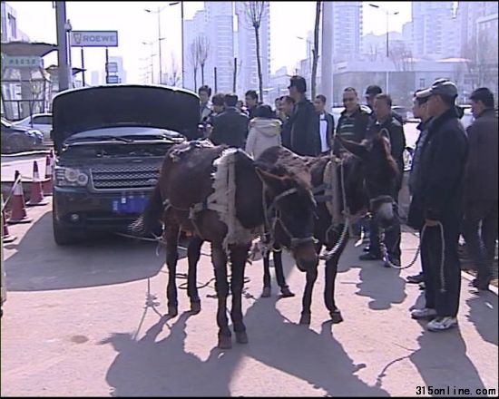毛驢拉著路虎走 毛驢拉著路虎走