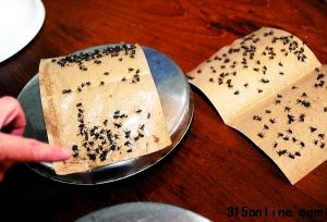 不少蒼蠅在豬頭肉上飛舞。 不少蒼蠅在豬頭肉上飛舞。