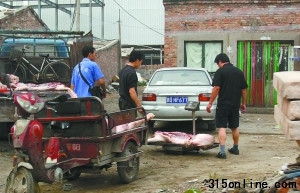 北京泔水豬肉未經檢疫流入市場當正規肉賣(圖)
