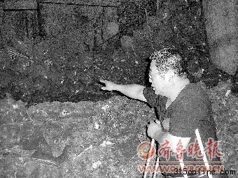 貿易公司被曝賤賣遭百噸氨氣污染洋蔥流向不明
