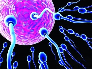 科學家研制人造精子解決男性不育仍有諸多困難