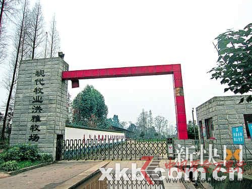 現代牧場也被業內視為“問題奶”最可疑的來源之一。(圖片來源:新快報)