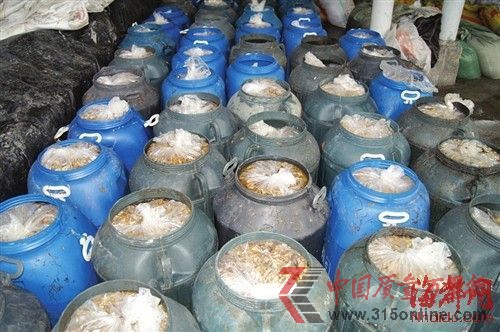 600多袋已加工好的金針菇被當(dāng)場(chǎng)查封 600多袋已加工好的金針菇被當(dāng)場(chǎng)查封