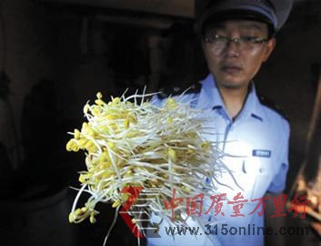 執法人員展示“毒豆芽” 執法人員展示“毒豆芽”