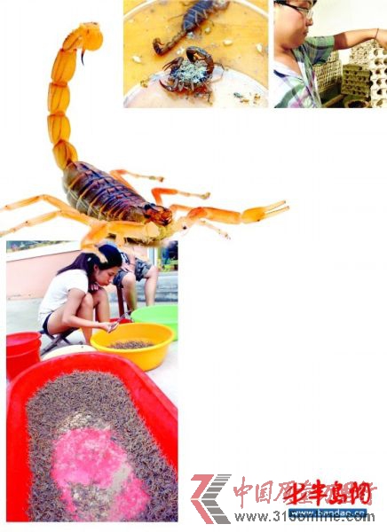 ĸЫӮa(chn)µСЫ uбPĶЫ B(yng)ֳ(chng)ĹˆTЫ