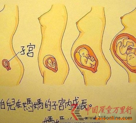 @СW(xu)꼉(j)n(ni)ݣ