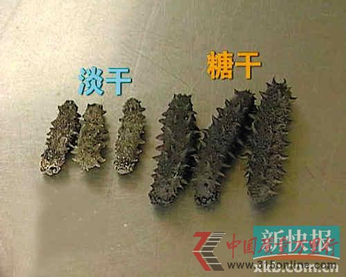 海參一斤數(shù)千元有的加了2兩糖