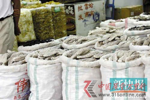 ■一德路海產(chǎn)品市場上售賣的海參。新快報記者畢志毅/攝 ■一德路海產(chǎn)品市場上售賣的海參。新快報記者畢志毅/攝