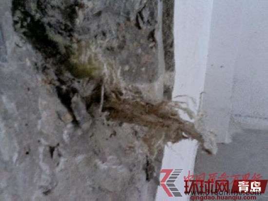 青島萬科城墻體露出的編織袋垃圾 青島萬科城墻體露出的編織袋垃圾