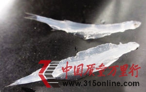 網友公布的“假銀魚”照片 網友公布的“假銀魚”照片