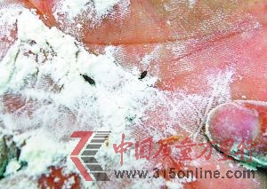 楊先生在超市購買的散裝面粉里有很多蟲。 重慶晨報記者 胡杰 攝