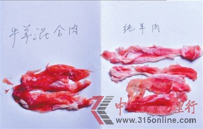 混合肉與純羊肉顏色和紋理均有不同。 本報記者陶冉攝/視頻