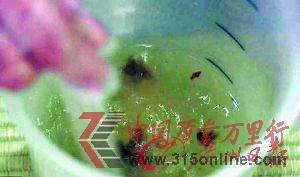 首先將快速發酵水和兒童糞便混合。