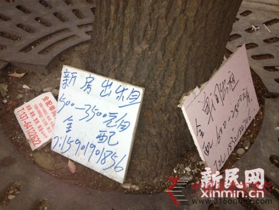 圖說:在打人事件發(fā)生10天后,群租活動和招租廣告依然毫不避諱。新民網(wǎng)記者 沈文林 攝
